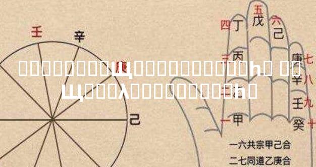 ̥�ǳ�����Щ�ط��������һ� ��Щ̥��λ���������һ�